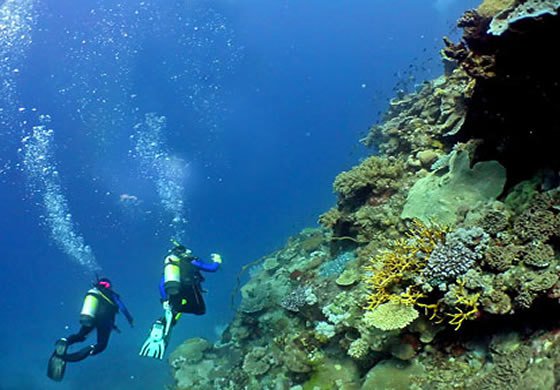 BerginTours's tweet photo. Diving in Turkey / Kas https://t.co/oMRwkr76Rm https://t.co/QFYUxnGoae