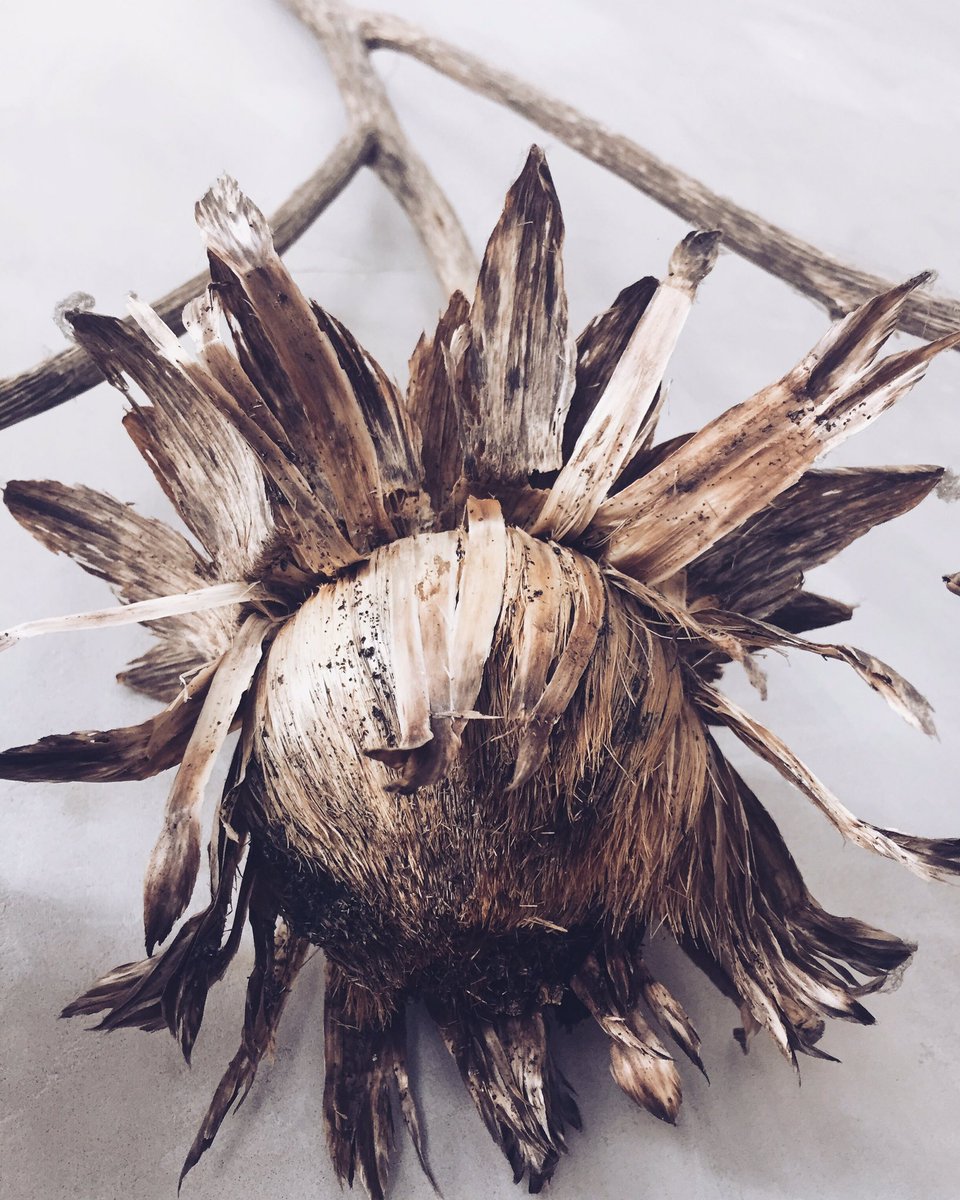 Cafe_Rust's tweet image. 