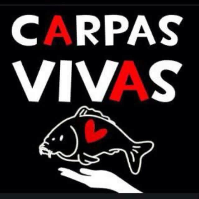 Angler_Bonal83's tweet photo. Modificación ley 42/2007 de especies invasoras #nohayderecho #modificaciondelaley #plataformaendefensadelapesca https://t.co/vEhwCtd4mY
