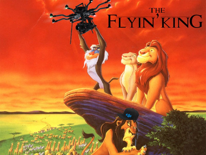 daxon's tweet image. The Flyin' King. Rafiki knows what's up. #FreeflyANYWHERE @freeflysystems