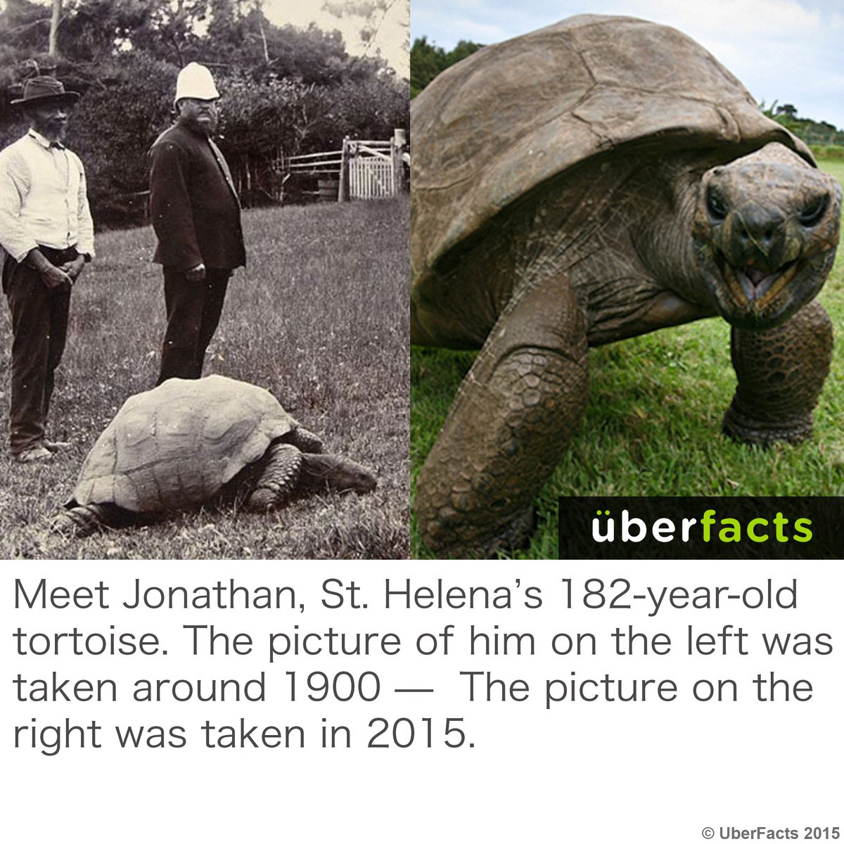 UberFacts's tweet photo. Awww, Jonathan... https://t.co/K3fJOY8x01