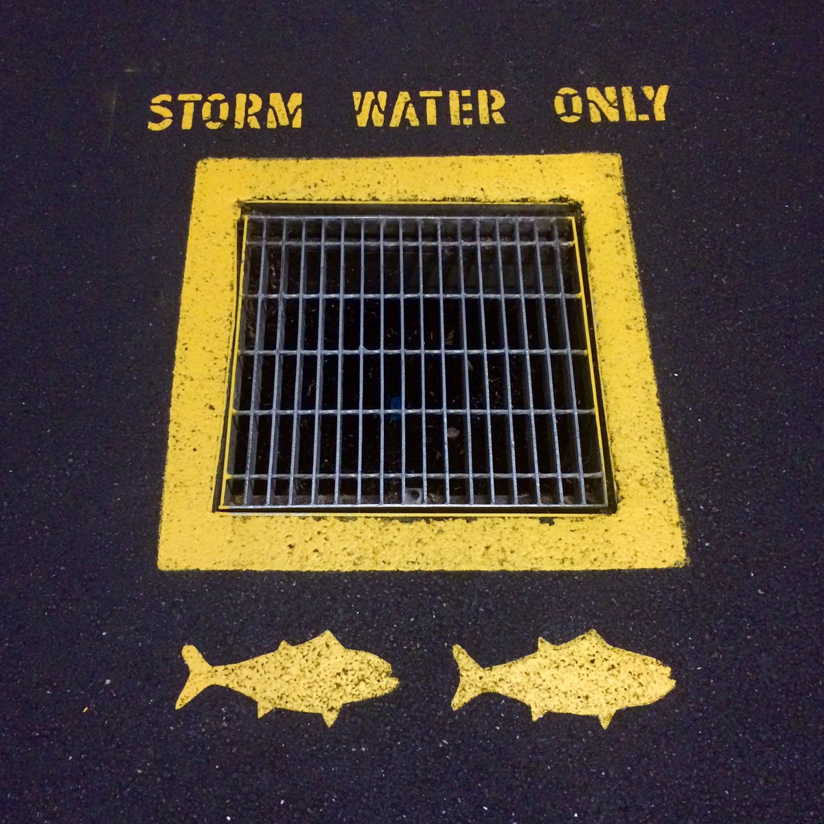 A simple way to educate people about stormwater! #waterliteracy #stormwater