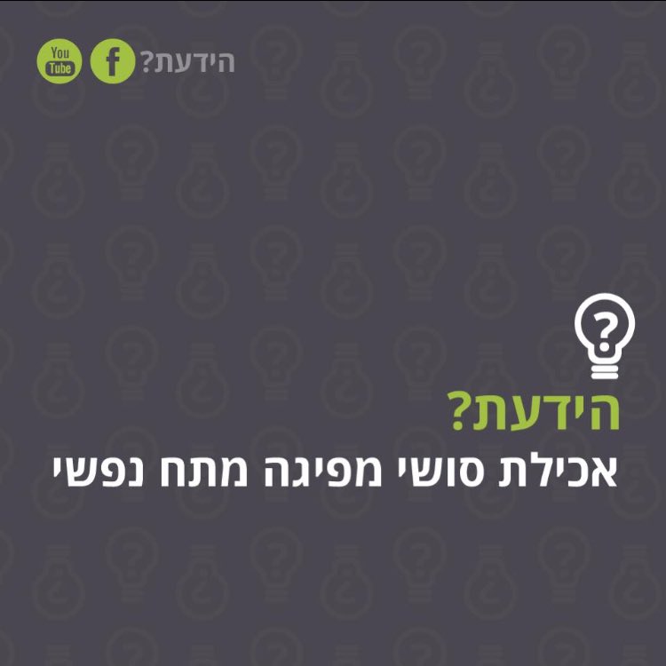 hayadata1 tweet picture
