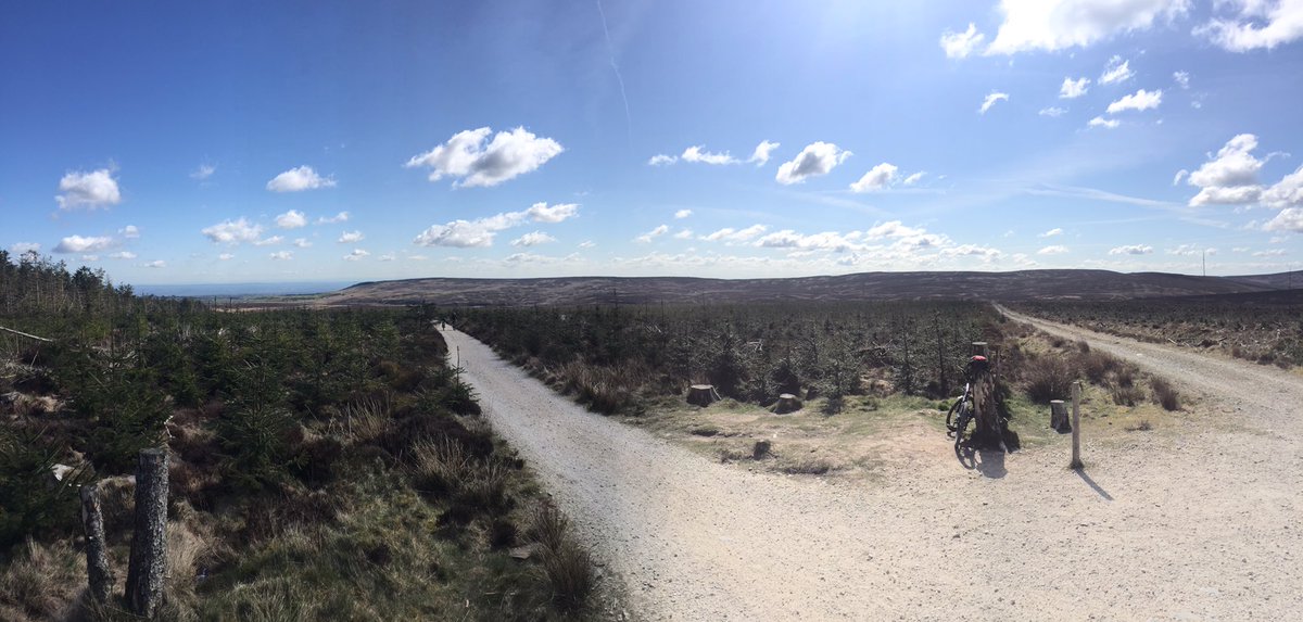 russmini's tweet photo. Wales.... What can you say! @OPALlandegla @MTBMeetupUK #MTBMeetupUK #llandegla #degla #singletrack #trails #sun #mtb https://t.co/gcpK9CFoFl