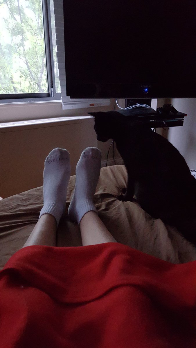 Remaster_Chief's tweet photo. Nekoma captain likes feet. @lazynekocaptain #SportsPromNYC #WhyNotNoya https://t.co/pdDUkcLJT4