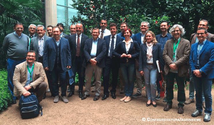 Bonus fiscale per le opere verdi, forse è la volta buona: ilfloricultore.it/notizie-on-lin… <a href="/Confagricoltura/">Confagricoltura</a> <a href="/IFLA2016/">IFLA2016</a>