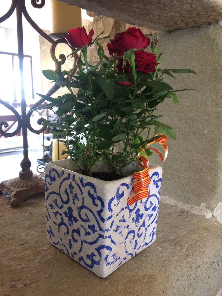 LAVILLADECORSA's tweet photo. Celebra Sant Jordi, regala't una Rosa , un llibre o una ampolla de vi la Rosa o el cava pètals de Codorniu https://t.co/4D2r57qlj5
