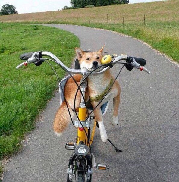 MHMASUD11's tweet image. 