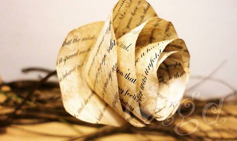 duna_goto's tweet image. 🌹 Feliz Sant Jordi a thotom!! 🌹
#SantJordi #Rosa #Espiga #Diada #Nostalgia!!🙈🙉🙊
#DíaInternacionalDelLibro