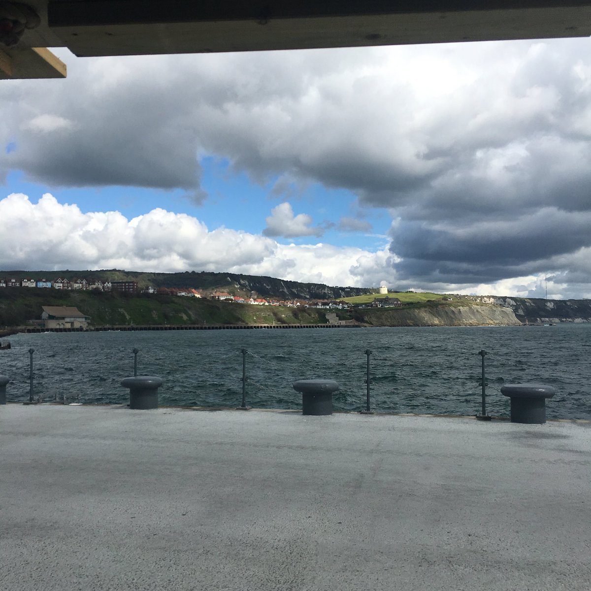 Chummys Harbour Arm tweet media