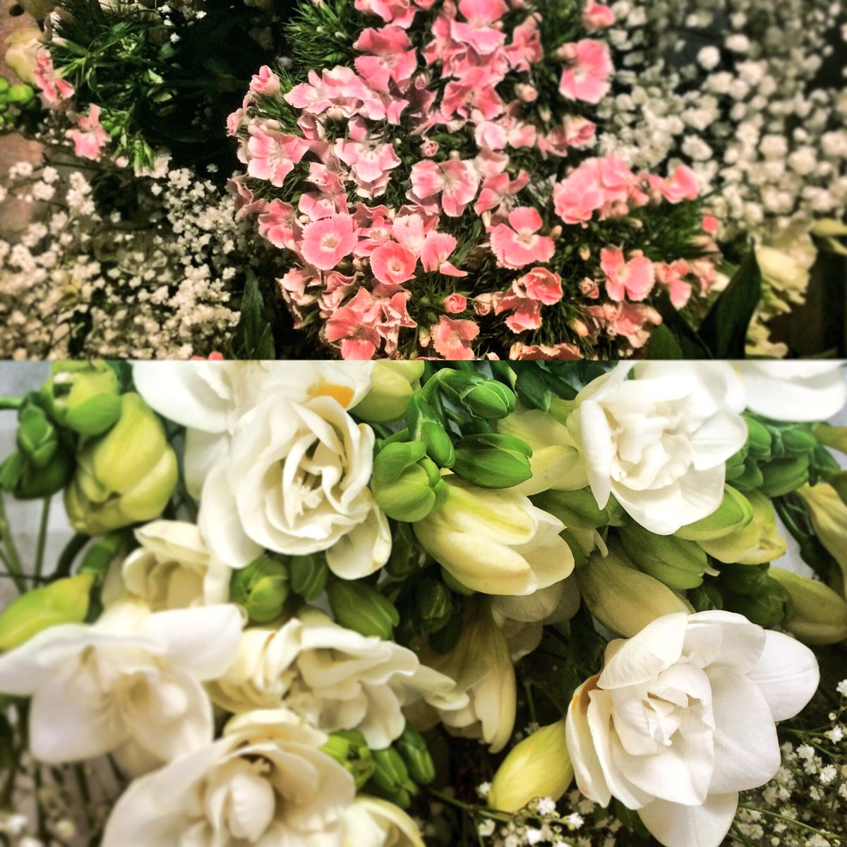 EVENTuallyplan's tweet photo. And here we have the flowers!!!
#onedayleft #christening #party #babygirl #flowers powered by #eventuallyplanners 🎀 https://t.co/NTgdvS46Uk