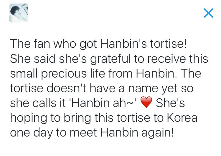meiS2jun's tweet photo. The fan who got Hanbin's tortise! -cont- https://t.co/AORScL1QIl