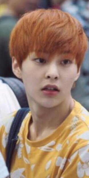 어떻게....시우민 진짜 노야 닮았어ㅠ