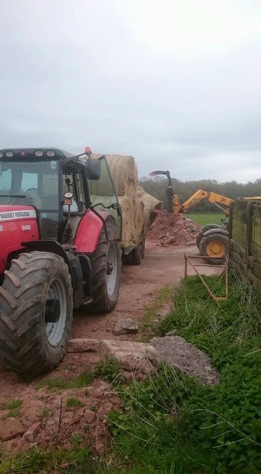 Pinfields tweet media