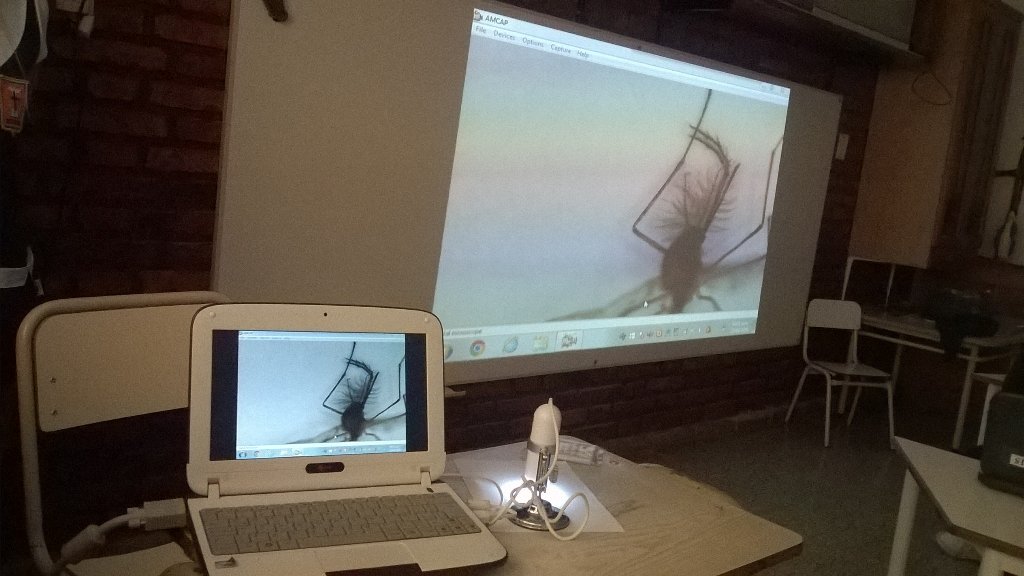 SusanaPetroni's tweet photo. @patricia1805 trabajamos el #Dengue aula digital y microscop. viendo partes del mosquito y juegaron #EducatorExpert https://t.co/ov2QpDZFLv