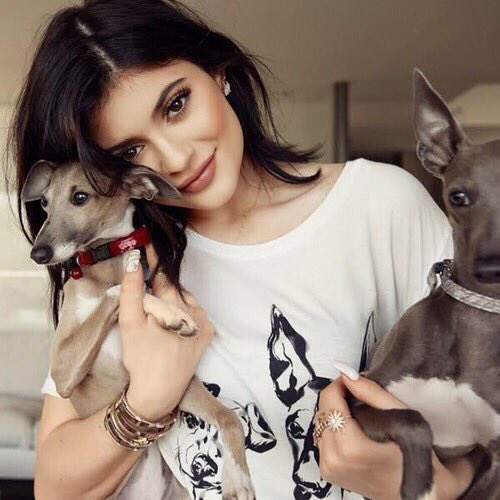 PuppyReserve's tweet photo. Help Kylie save the puppies at 

https://t.co/eW40siEKrS 🐾🐶 https://t.co/KHOh0yfCT1