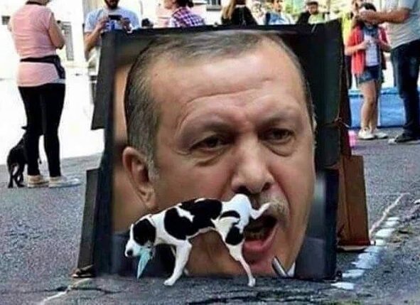 Image result for erdogan dog