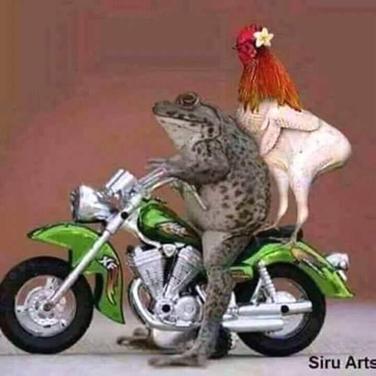 MHMASUD11's tweet image. 