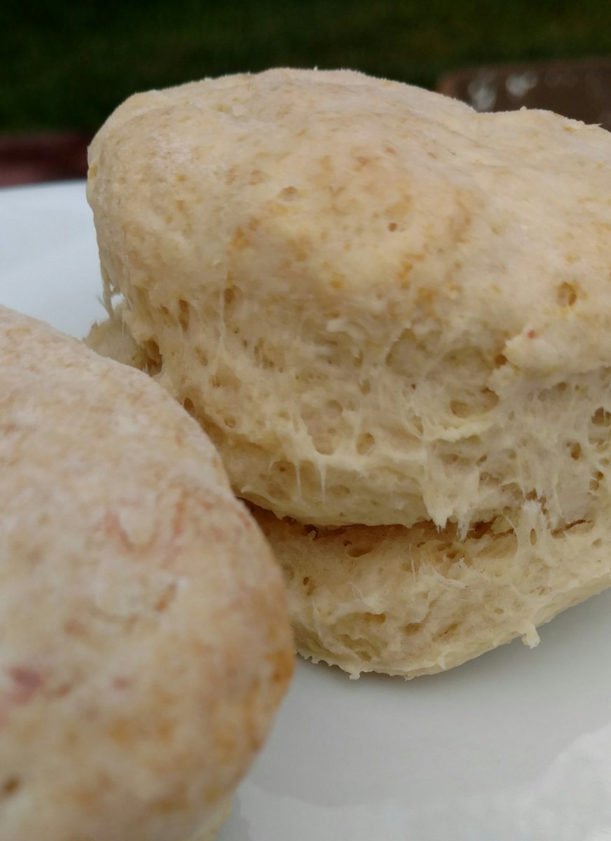 ScottInFL's tweet photo. The crown jewels every Saturday morning... homemade #vegan biscuits. #inmygut https://t.co/9bse96Pyvt