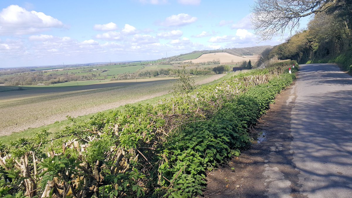tigerstowting's tweet photo. Stowting is beautiful this time of year. Book a table on 01303 862 130 then come and enjoy the view before your meal https://t.co/o9y1MXRLzq