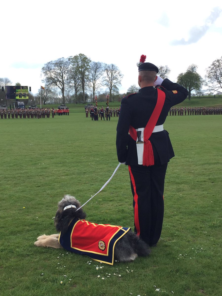 Christhesturge's tweet photo. @FirstFusiliers #coloursparade in #Tidworth @BFBSWiltshire @BritishArmy @3rdUKDivision https://t.co/jdk9yISODe