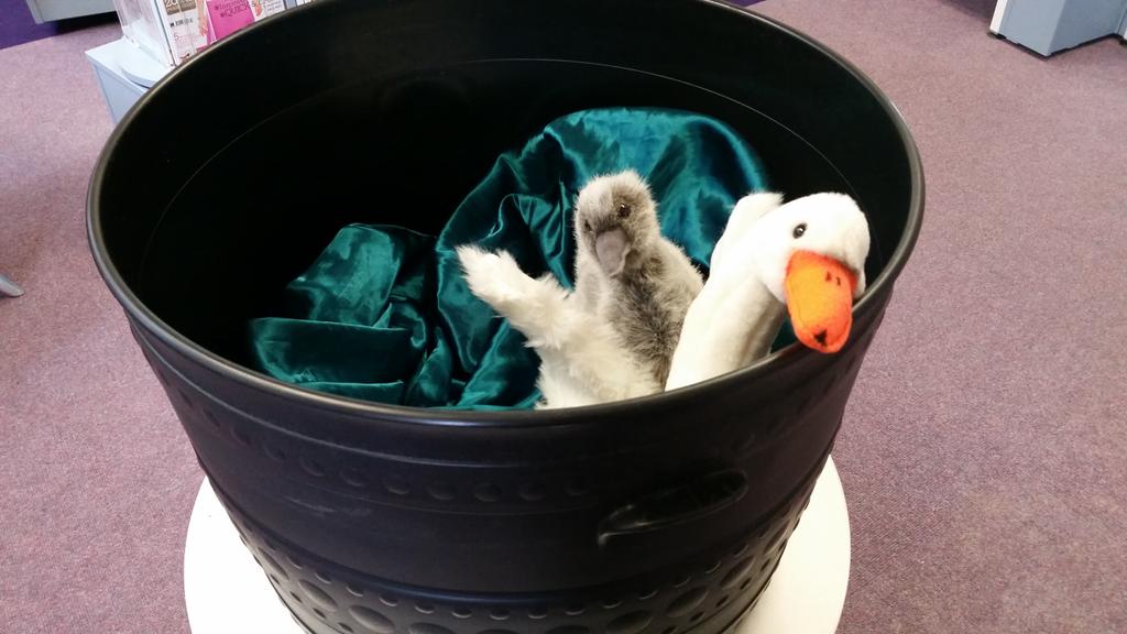 RBWM_Libraries's tweet image. The #LibraryMascots are brewing up a storm at Boyn Grove Library #Shakespeare400 #TheShakespeareathon #Shakespeare16