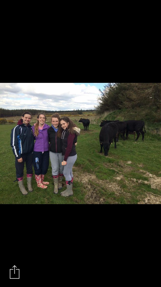 olsangus's tweet photo. #allaboutangus 🐮🐮 https://t.co/0eULMiiCrt