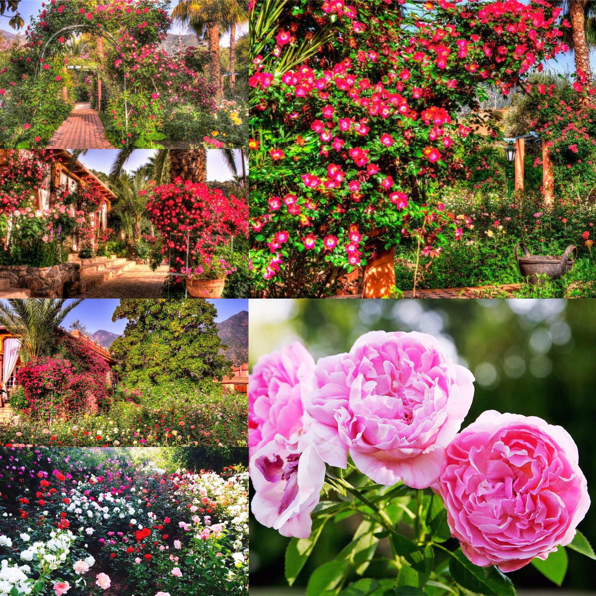 <a href="/moroccolondon/">Morocco London</a> Please help us promote #DomainedeLaRoseraieSpaRetreat in #Ouirgane, Morocco and our region's beauty!