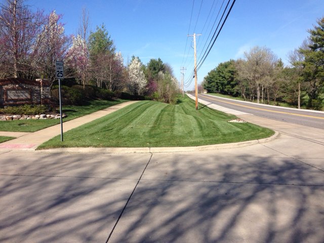 DowcoInc's tweet photo. Many weeks we mow at an angle, but sometimes it's okay to switch it up.
#DowcoDifference https://t.co/Kav8gnEbFW