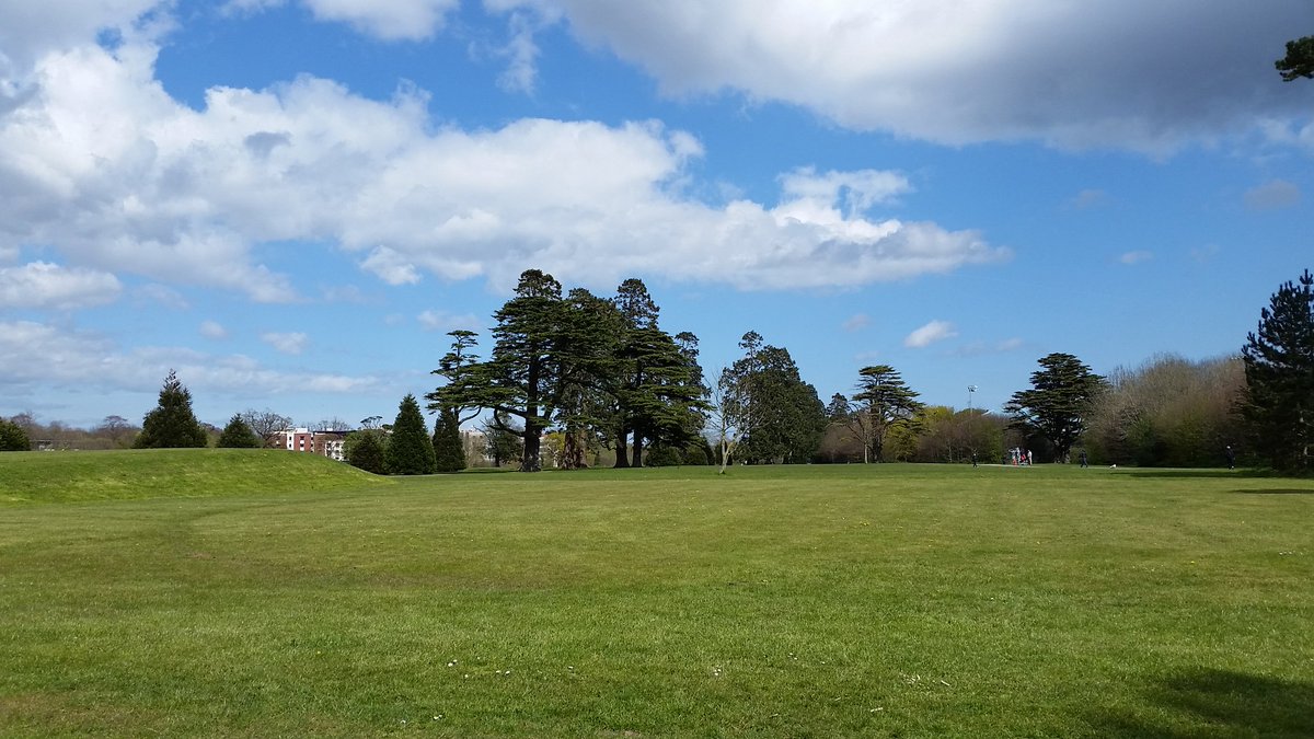 Ricarcin84's tweet image. A walk with my baby #portovieira #frenchielove #frenchbulldog @DogsofDub @PhotosOfDublin @VisitDublin 🍀 @DublinLife