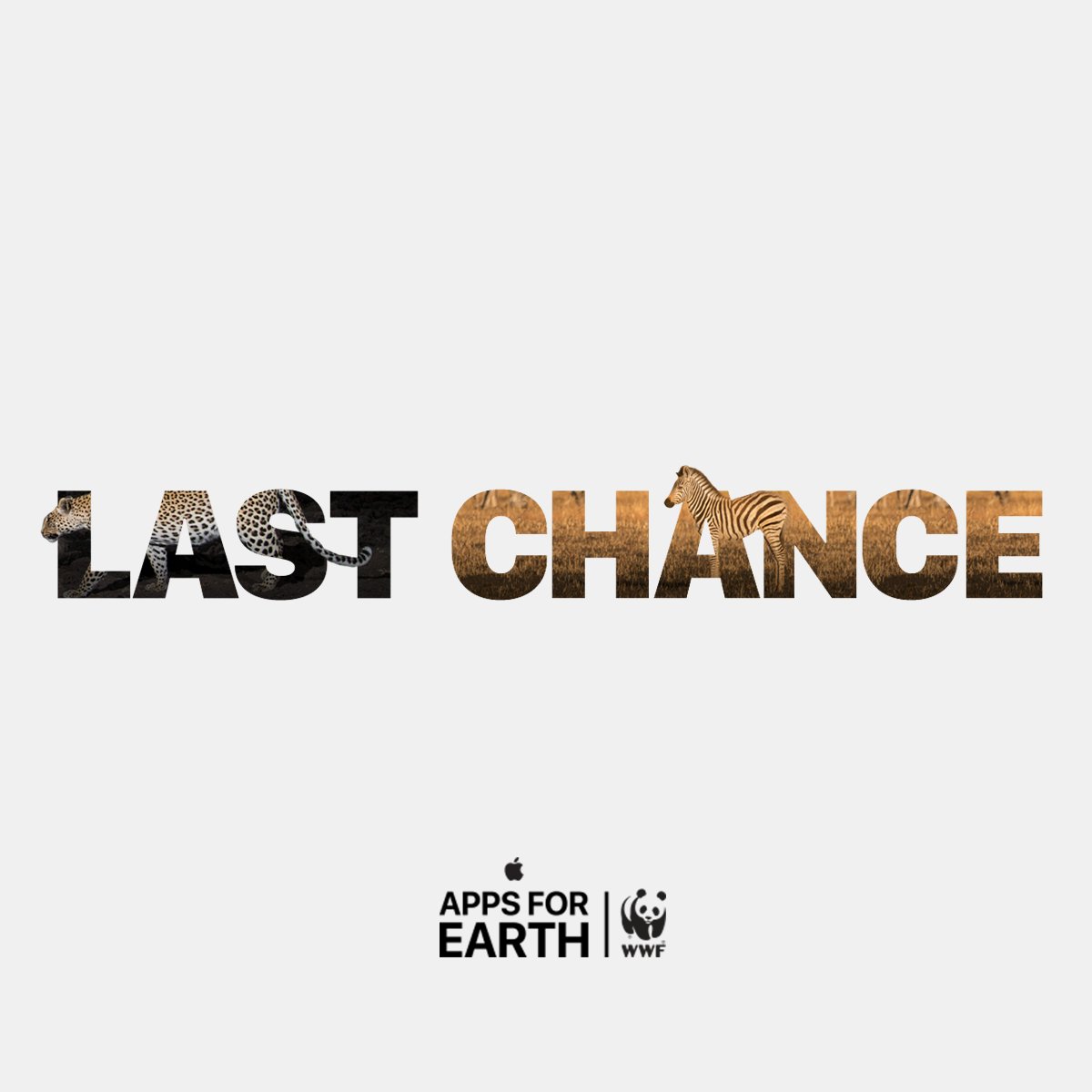 World_Wildlife's tweet photo. Time’s running out to participate in #AppsforEarth. Together, small actions make big change. https://t.co/1kvoTBcXaC