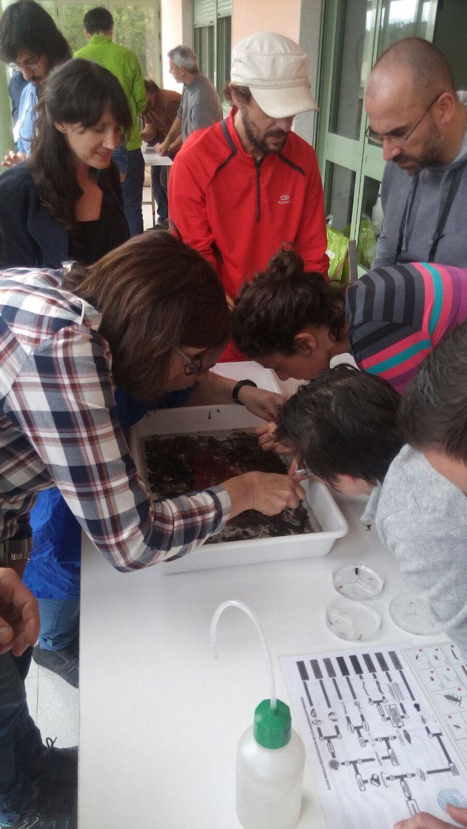 proxecto rios tweet media