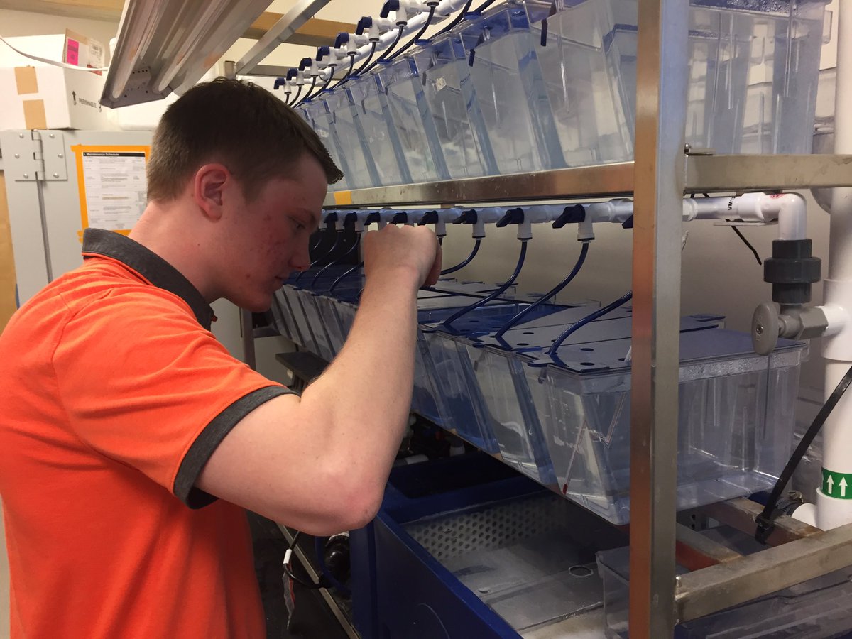 ekesslerkc's tweet image. Attempting to inspire high school biology students has been my #GatewayToScience