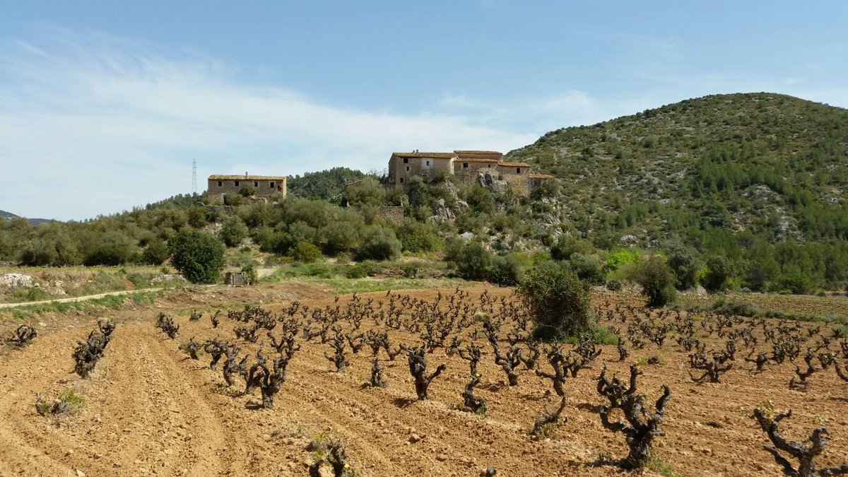 VisitaAvinyonet's tweet photo. Vols la samarreta del #MicroVi2016?Vine a la passejada i tast entre vinyes a #CanMitjans: https://t.co/bJmVACfp1m https://t.co/eo5Kszbq7L