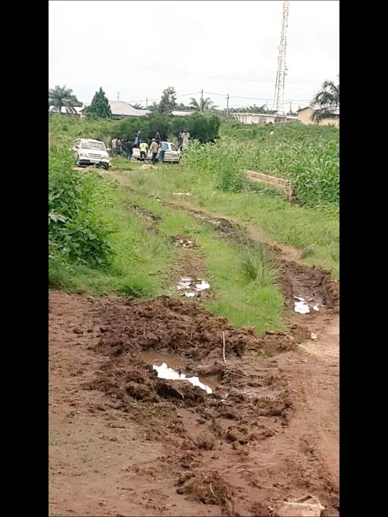 VSF_OFFICIEL's tweet photo. AU NOM DE QUOI UN INDIVIDU PEUT MASSACRER LE PEUPLE AU #Burundi #abidjan #CONGO #RDC #Senegal #Gabon #Tchad #TFCOL https://t.co/DeeP6V9yh7
