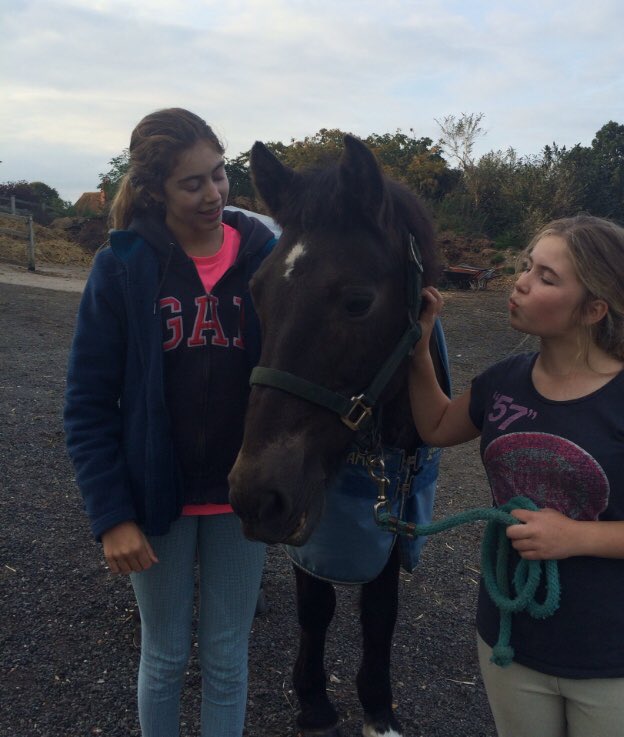 caitlynnbarness's tweet photo. My lovely boy🐴 https://t.co/dm3TodC6Yj