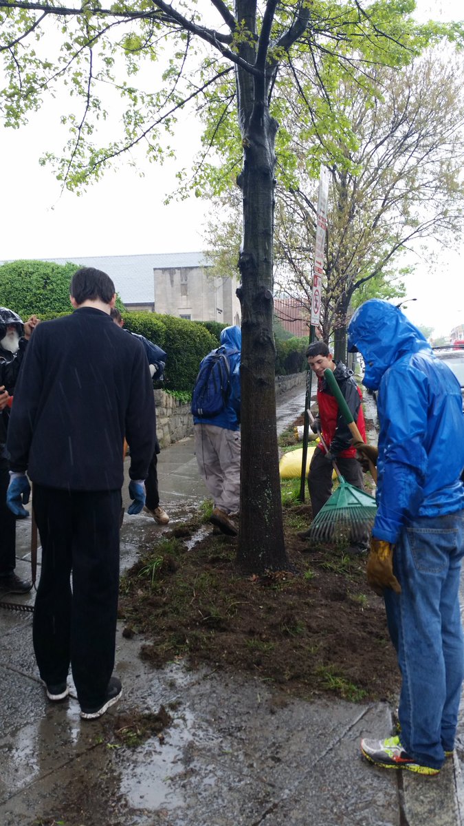 Thanks to the 60 volunteers who picked up trash, weeded, mulched in rain for #TenleyEarthDay! Wisc Ave looks great!