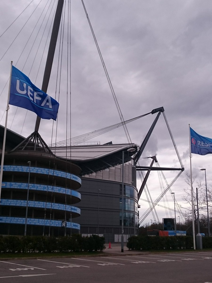 Thegingerwig tweet media