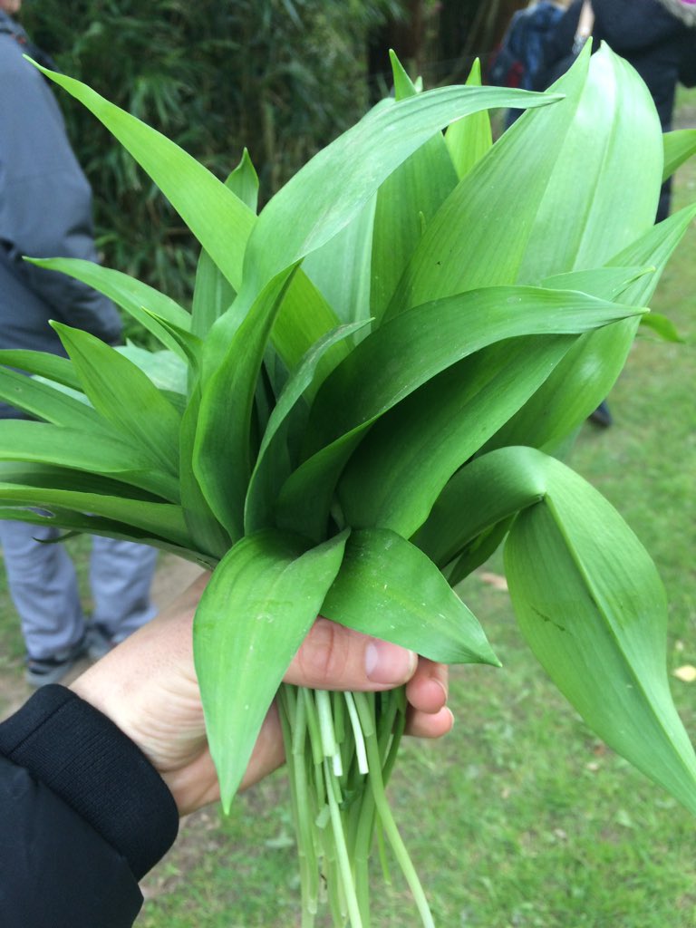 Mark Edward Holland tweet media