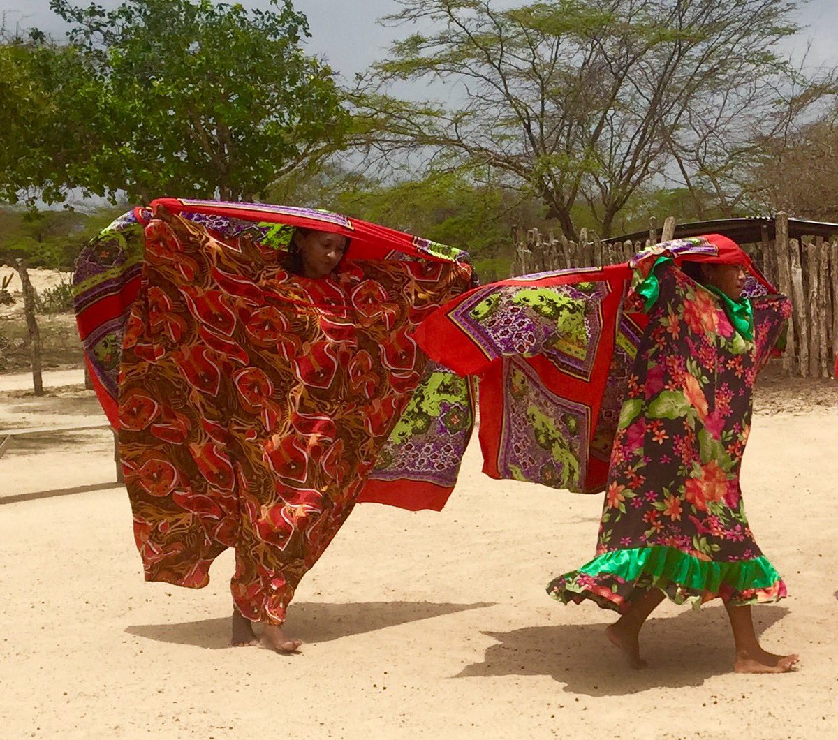 AmaliaVsquez3's tweet photo. Doña Cecilia nos enseña su ranchería Iwouyaa y la magia de ésta bella Guajira #SeguroTeVaAEncantar https://t.co/yX0ZcYD3fi