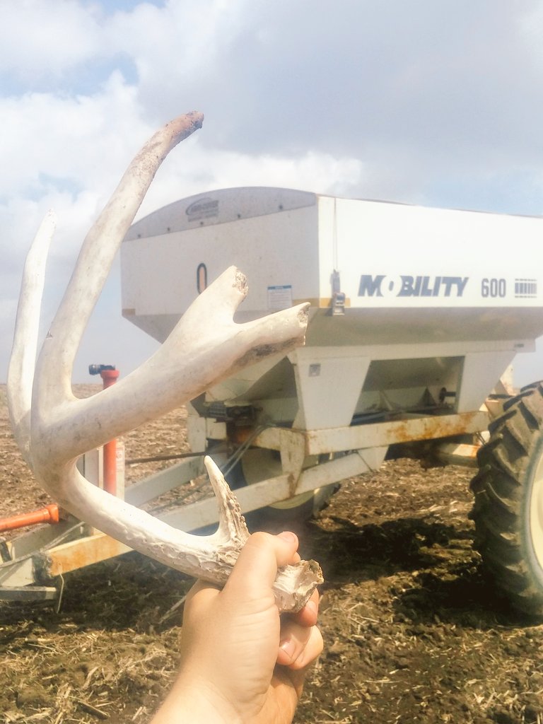 Fertilizer cart find!