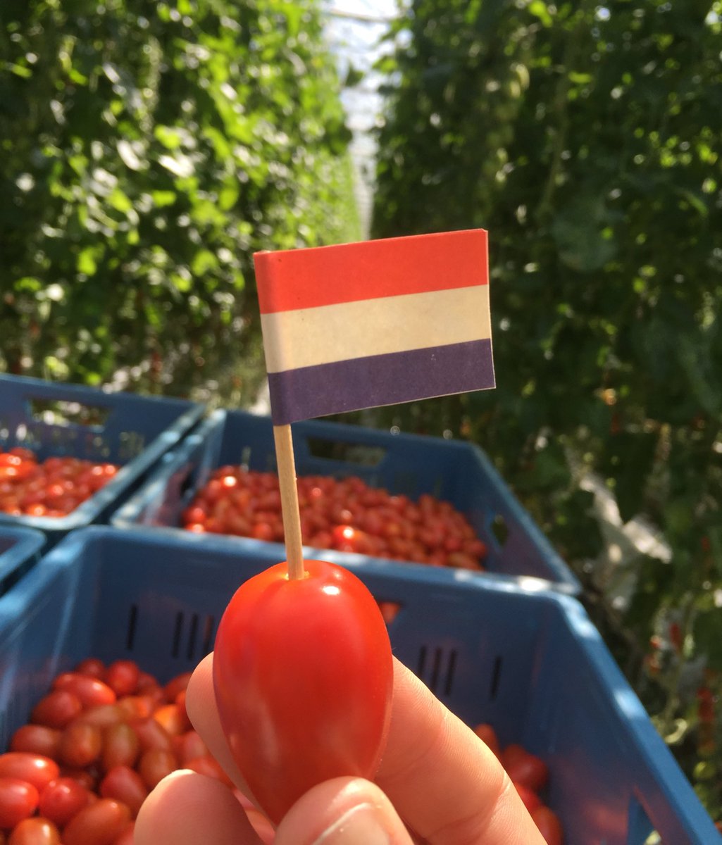 MartinevdMeer's tweet photo. Eigen producten eerst!

https://t.co/OStVwOiuiS

#blog #tuinbouw #chauvinisme https://t.co/5EpcF97r0v