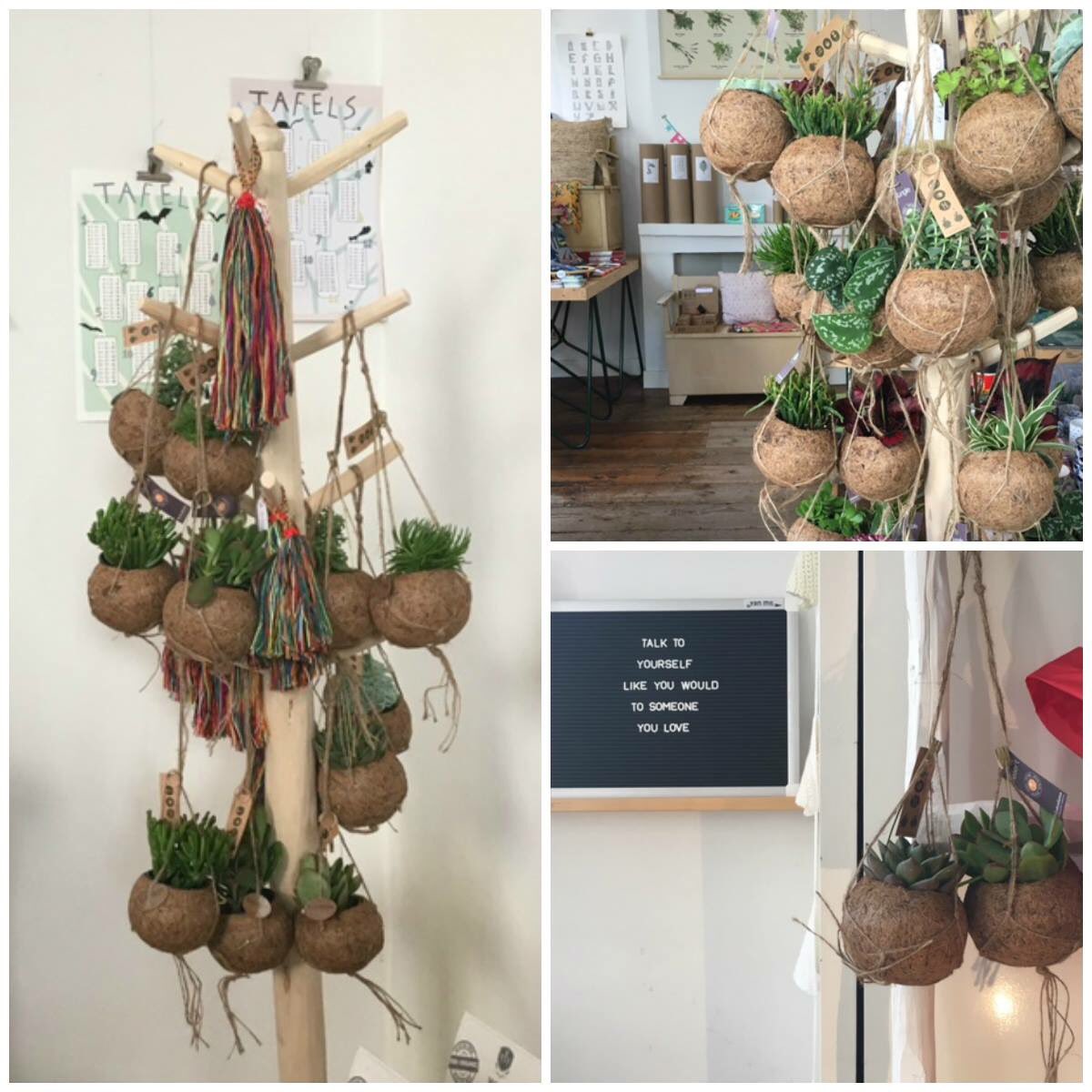 Kennen jullie <a href="/vanmijarnhem/">Van Mij Arnhem</a> al? Een winkel met genoeg Kokodama's en ook nog eens allerlei andere leuke spulletjes!