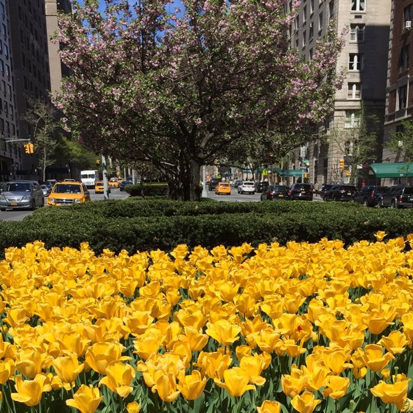 4NYC's tweet photo. 👋 Good afternoon! 👋@nicocamapp https://t.co/y1BvzHOPtY