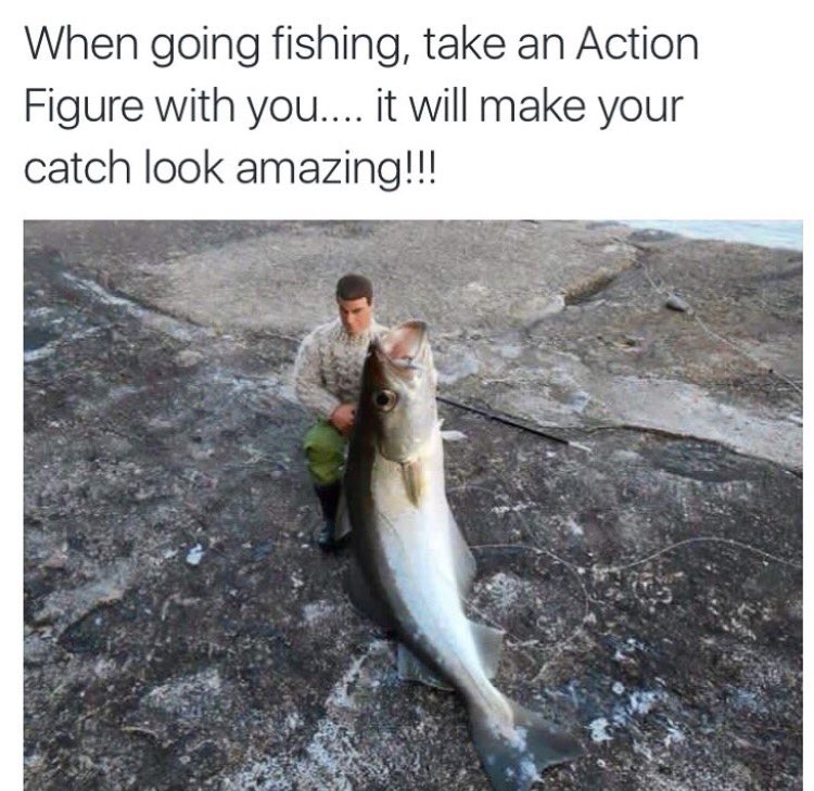 GoFishCam's tweet photo. Too good 😂 #fishing #fishhacks #fishingproblems #Fishackathon https://t.co/U8RvY1uWRK