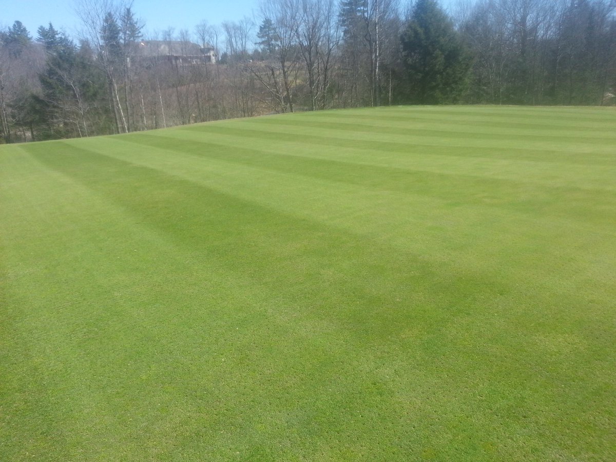 GVTurf's tweet photo. Greens wintered well. Here's a look at No. 9. All the best to everyone this 2016 Season! https://t.co/kc1HXblu0j