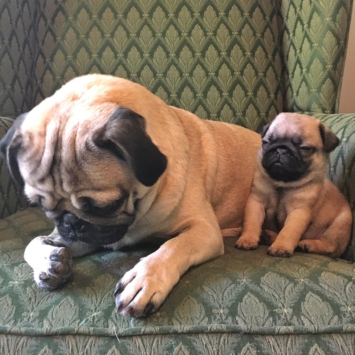 When ur mad at ur friend for getting way too drunk at the party, image size:1200x1200