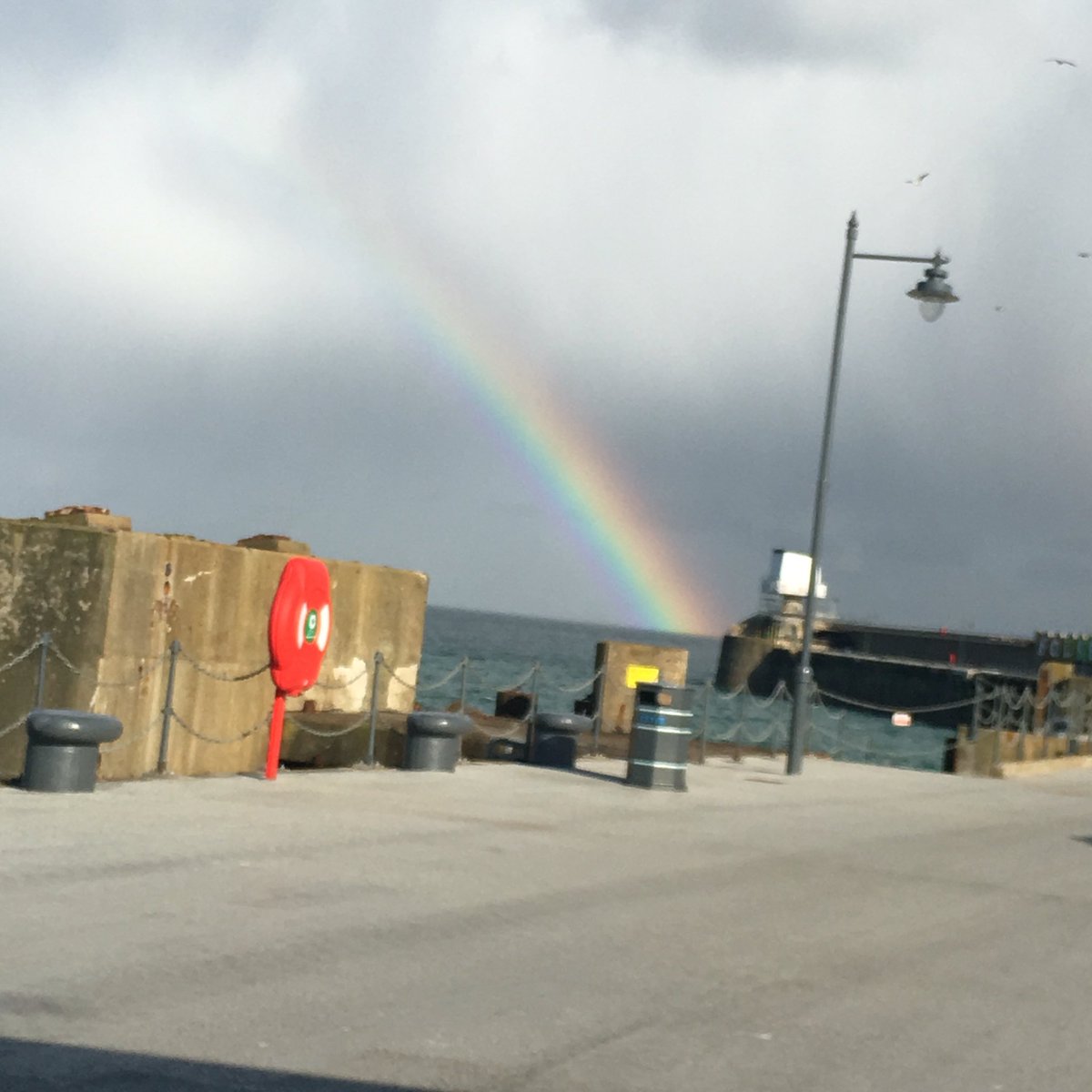 Chummys Harbour Arm tweet media