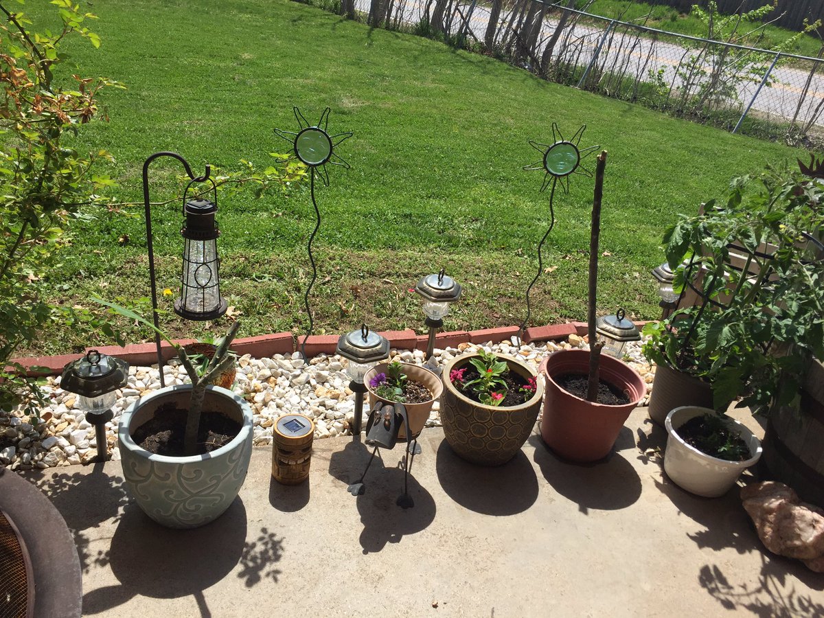 JillLuvsStevie's tweet photo. #Beautiful start for my #Flower planting season 🌺 Now here's hoping they flourish 👍🏼 #SpringtimeInNebraska #Home 💞 https://t.co/Tq6th56mlz