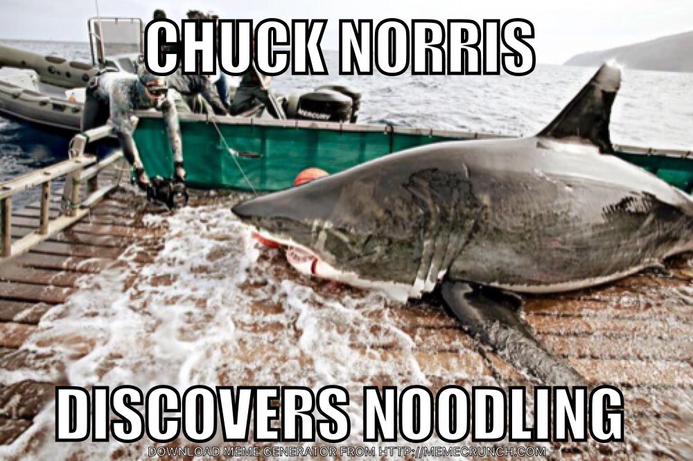 Balls Deep Tackle on Twitter: &quot;We took #chucknorris noodling today... # noodling #ballsdeeptackle #getwet #allballsmatter #fishing #fish #sharks  https://t.co/AL41DyvWDq&quot; / Twitter